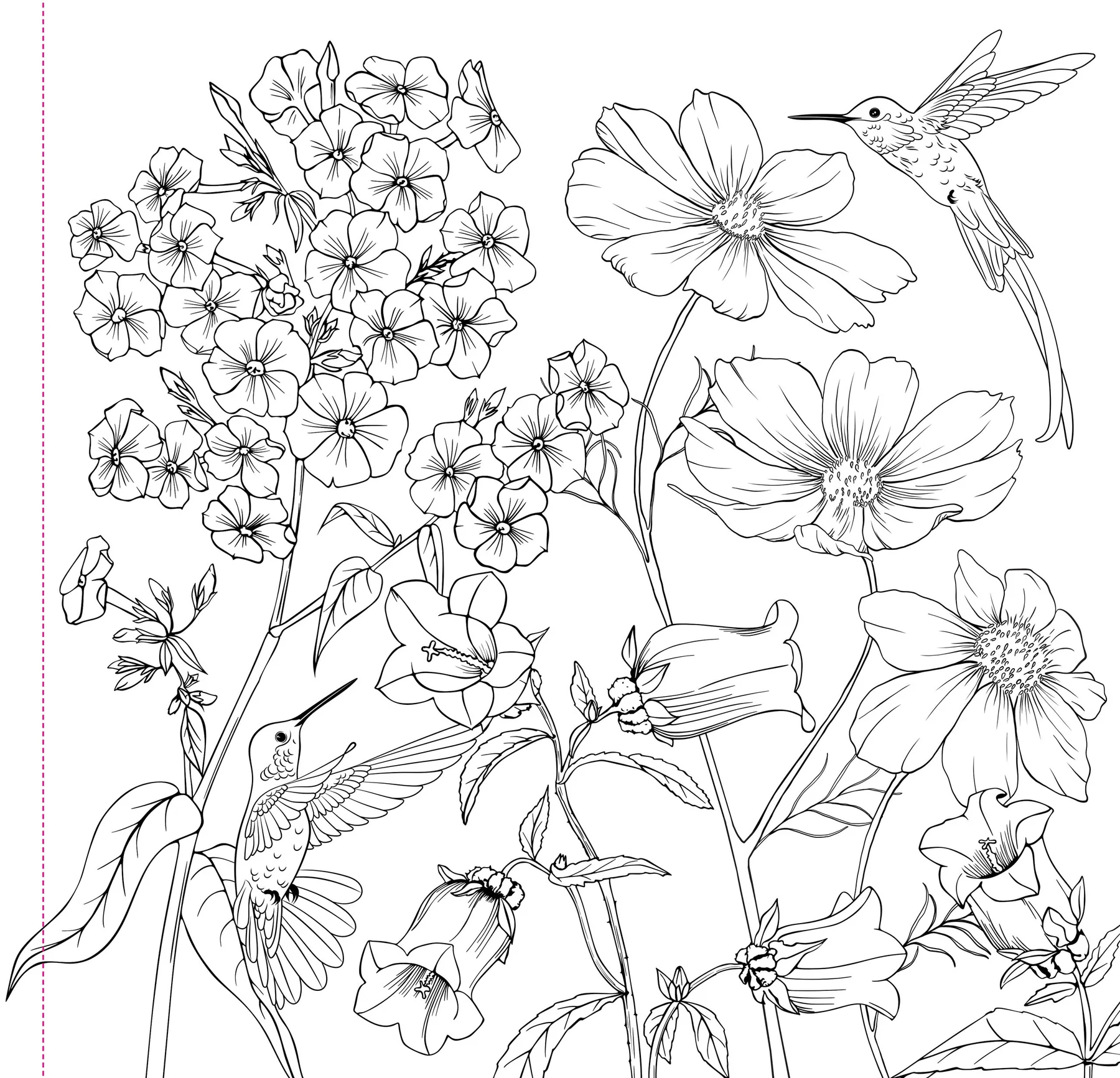 Wildflowers Adult Coloring Book - 4
