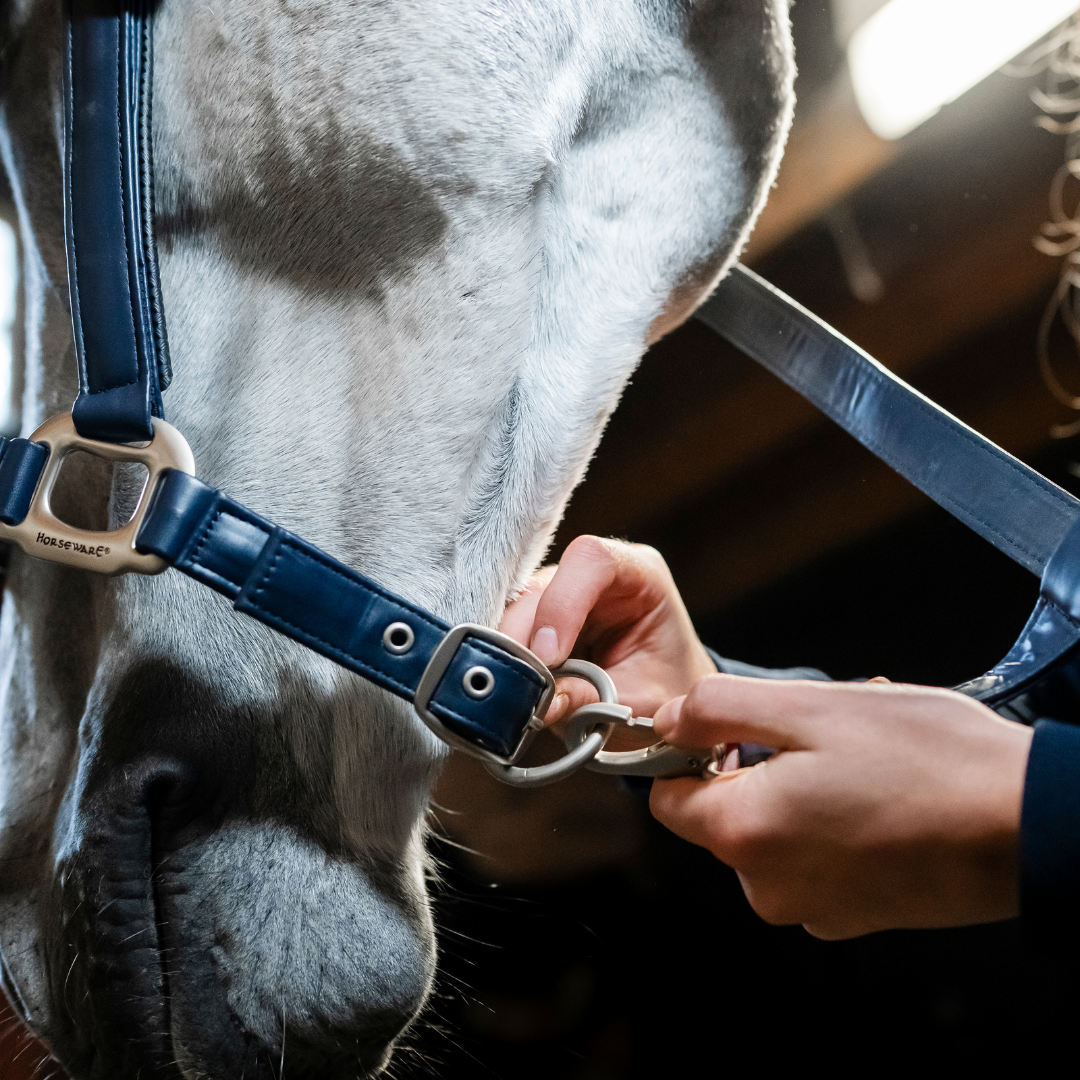 HORSEWARE GROOMING HEADCOLLAR - 3