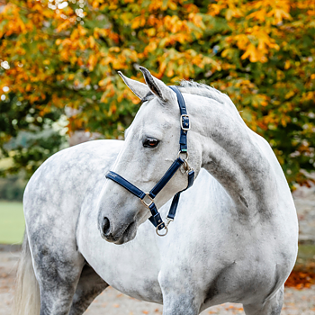 HORSEWARE GROOMING HEADCOLLAR