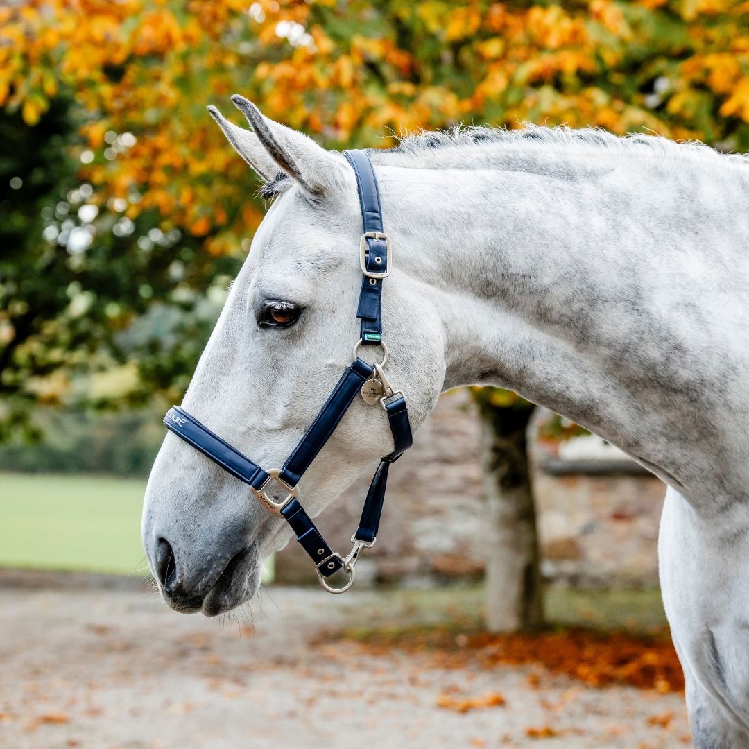 HORSEWARE GROOMING HEADCOLLAR - 2