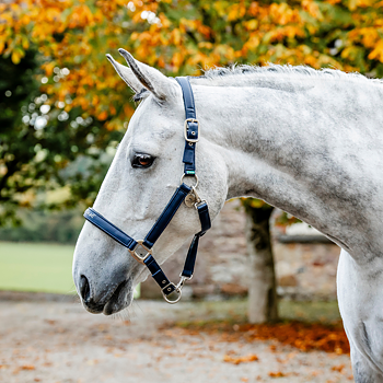 HORSEWARE GROOMING HEADCOLLAR