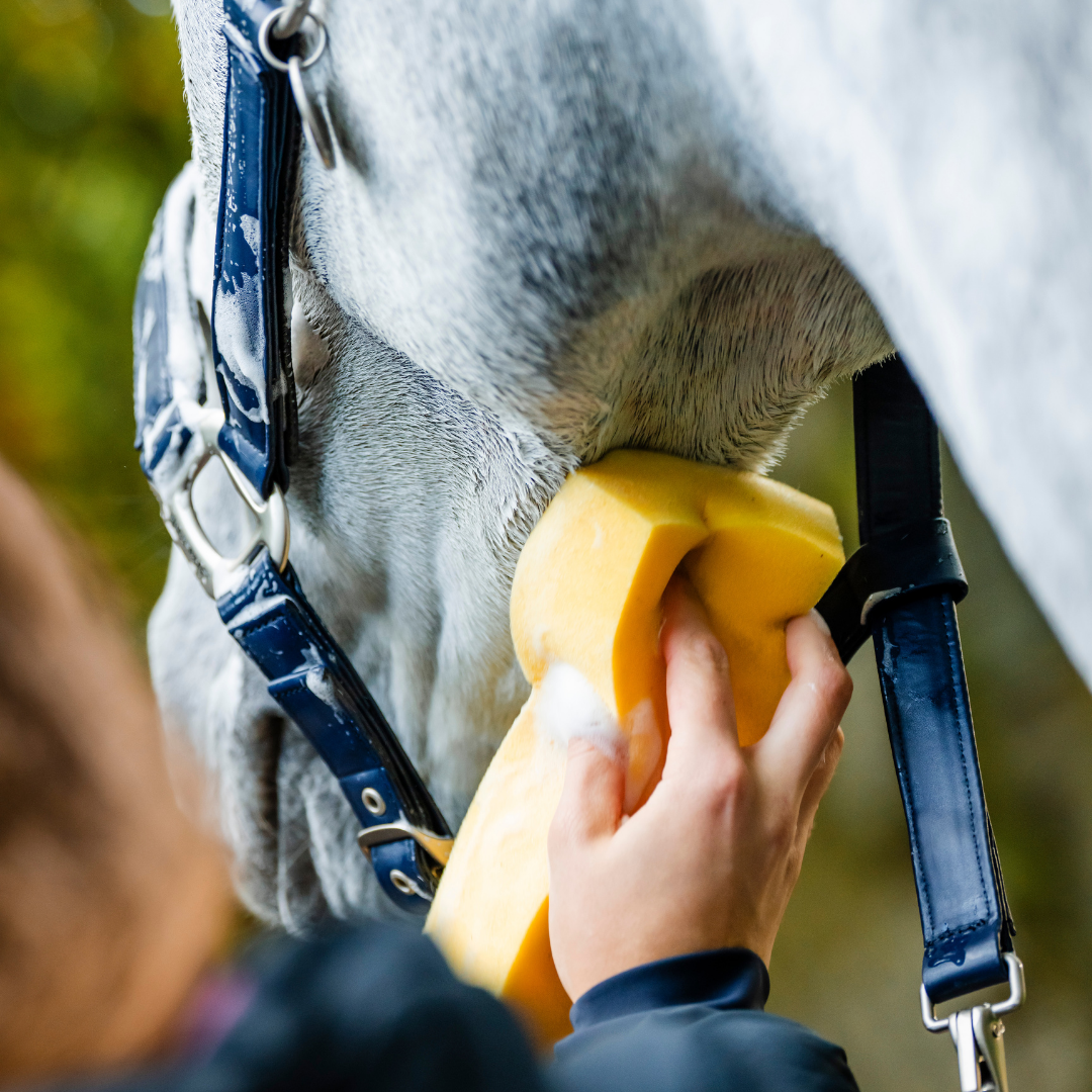 HORSEWARE GROOMING HEADCOLLAR - 7