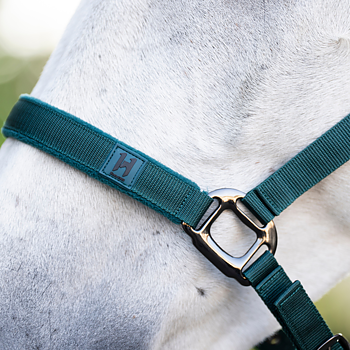 HORSEWARE HEADCOLLAR AND LEADROPE