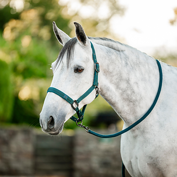HORSEWARE HEADCOLLAR AND LEADROPE