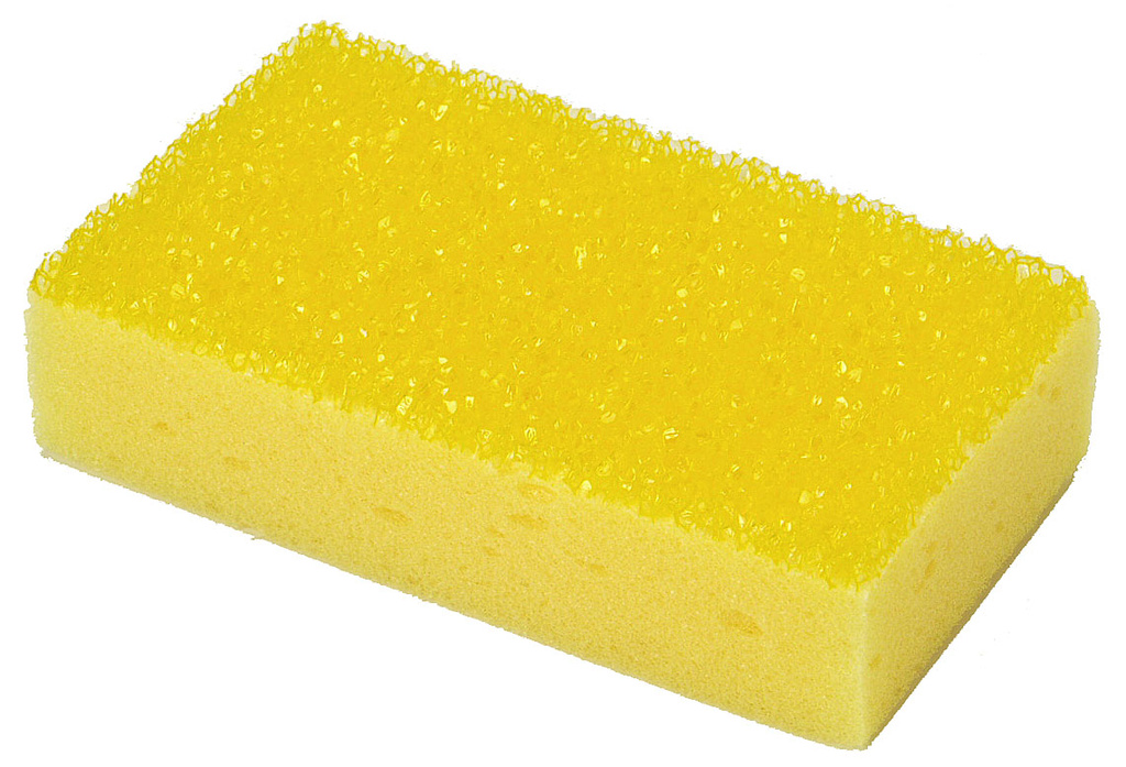 Insektssvamp - 2