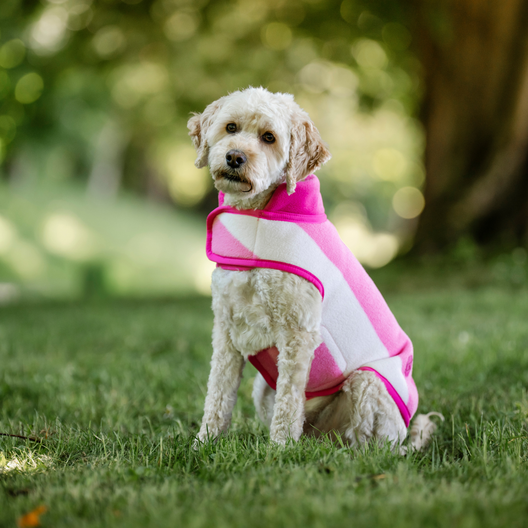 HORSEWARE NEWMARKET DOG FLEECE - 6