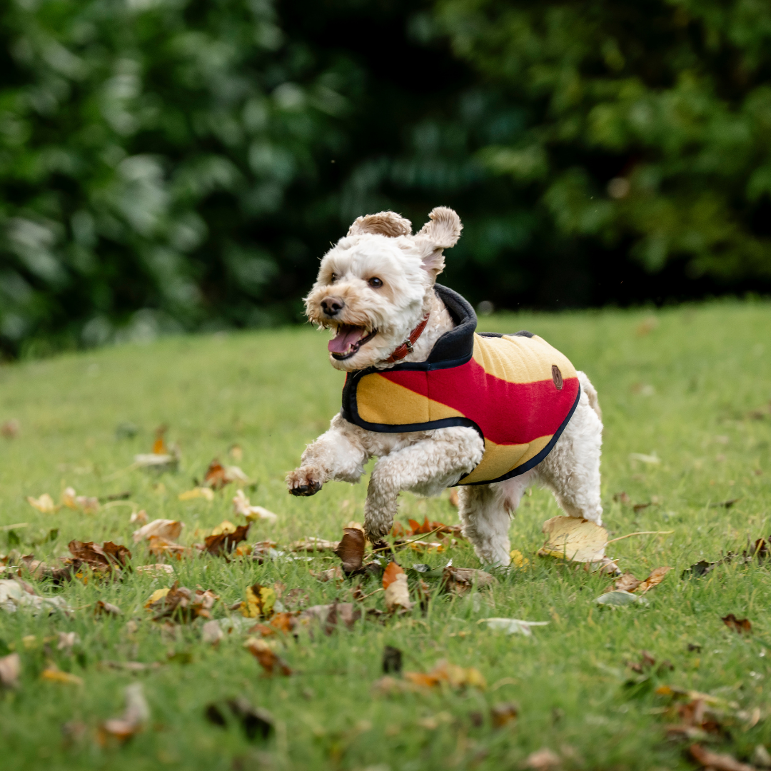 HORSEWARE NEWMARKET DOG FLEECE - 5