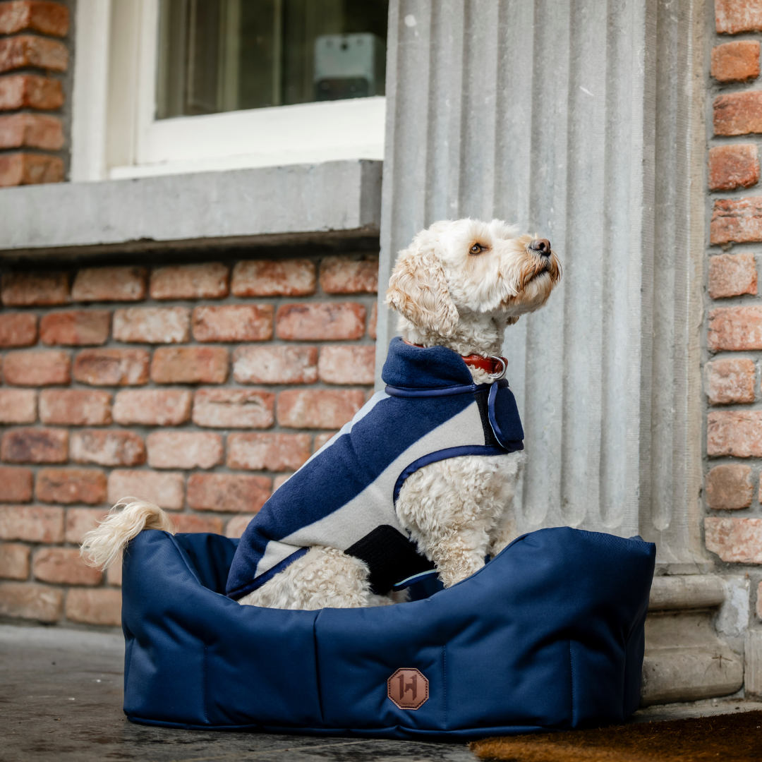 HORSEWARE NEWMARKET DOG FLEECE - 16