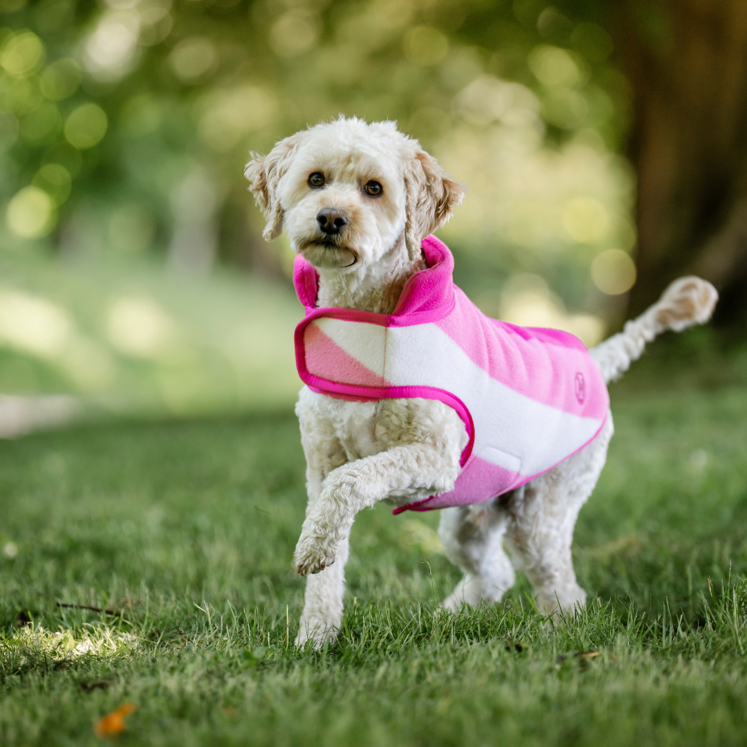 HORSEWARE NEWMARKET DOG FLEECE - 4
