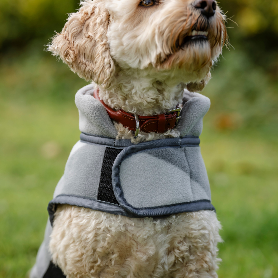 HORSEWARE NEWMARKET DOG FLEECE - 14
