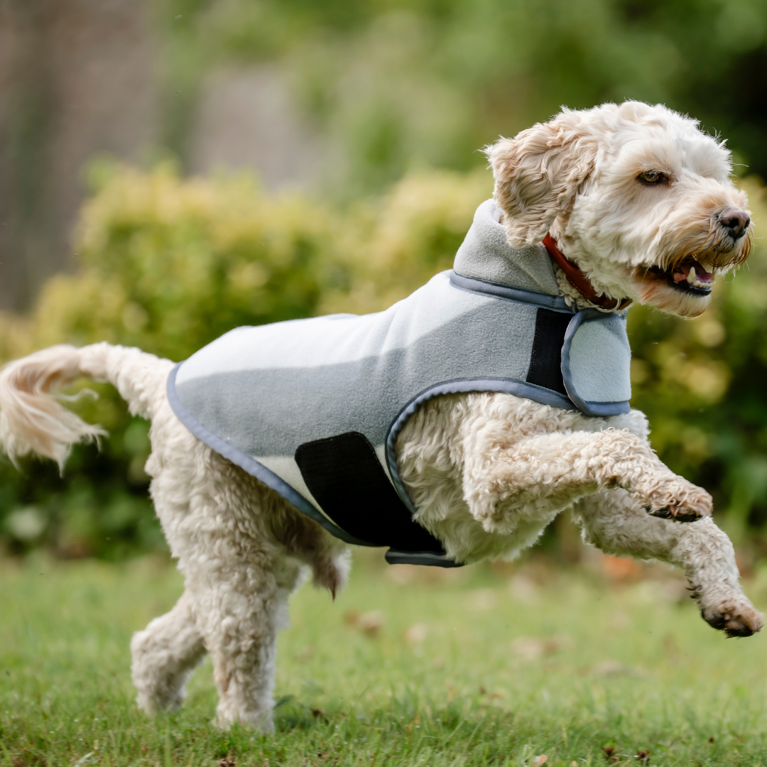 HORSEWARE NEWMARKET DOG FLEECE - 3