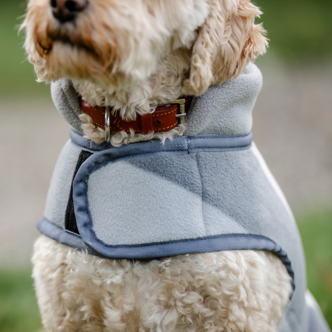 HORSEWARE NEWMARKET DOG FLEECE - 13