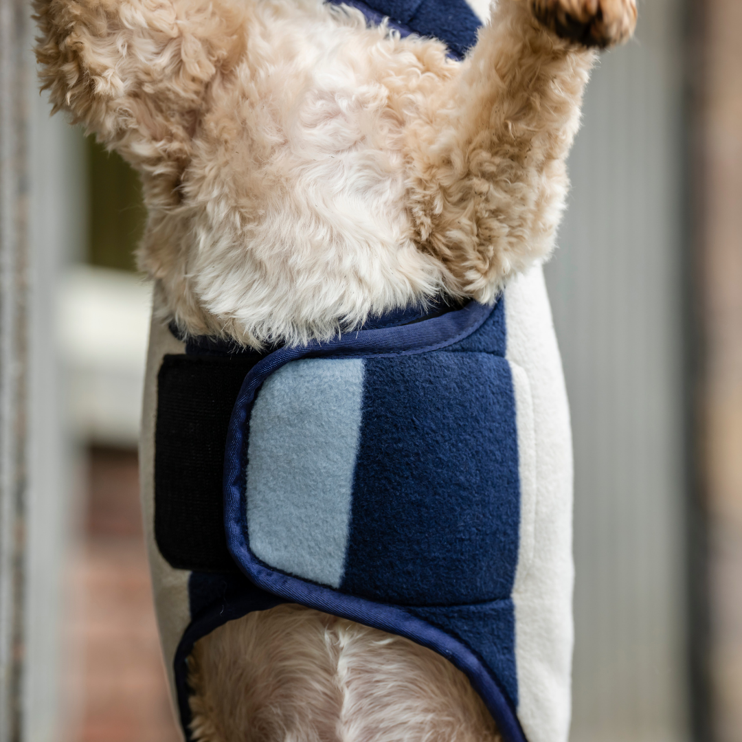HORSEWARE NEWMARKET DOG FLEECE - 11