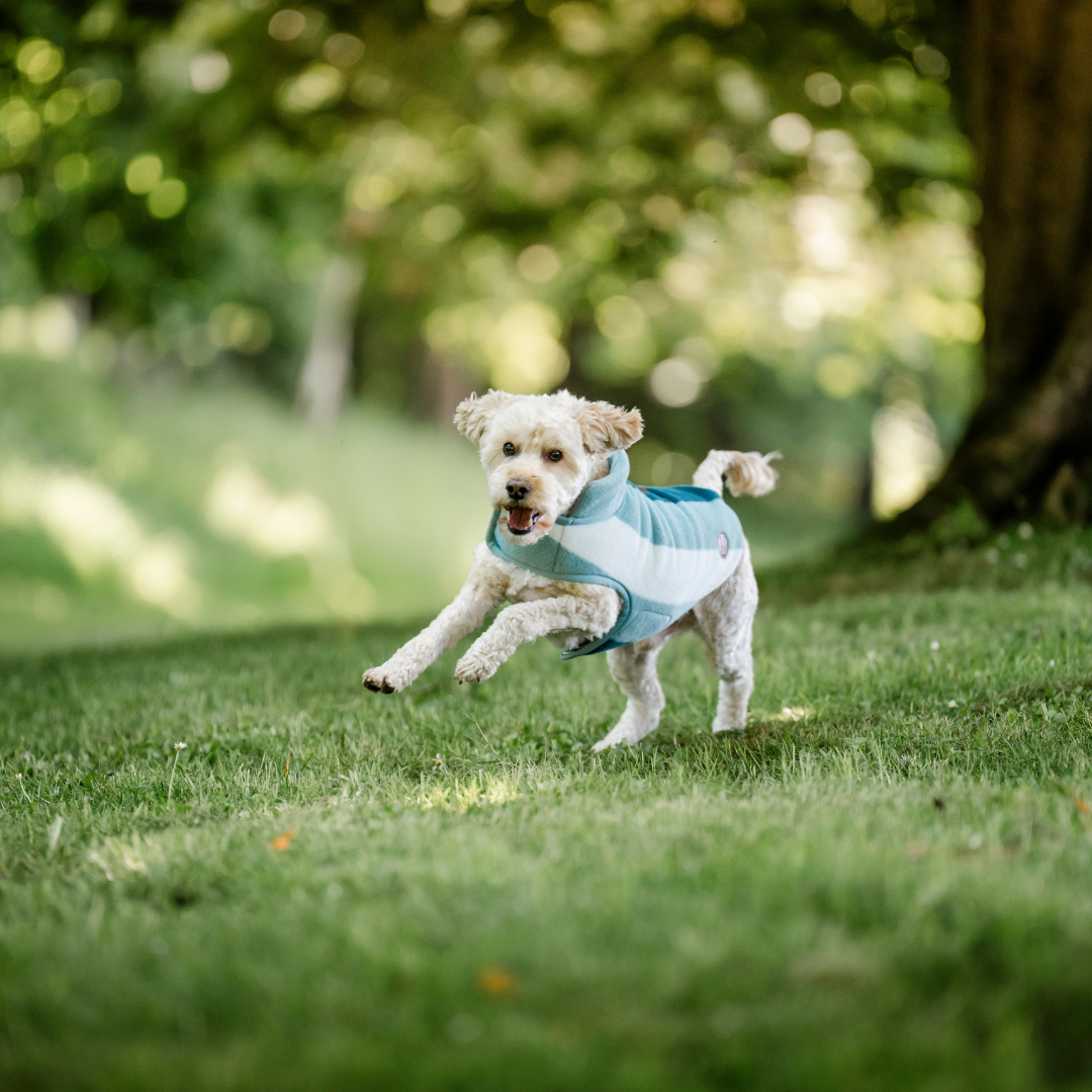HORSEWARE NEWMARKET DOG FLEECE - 2