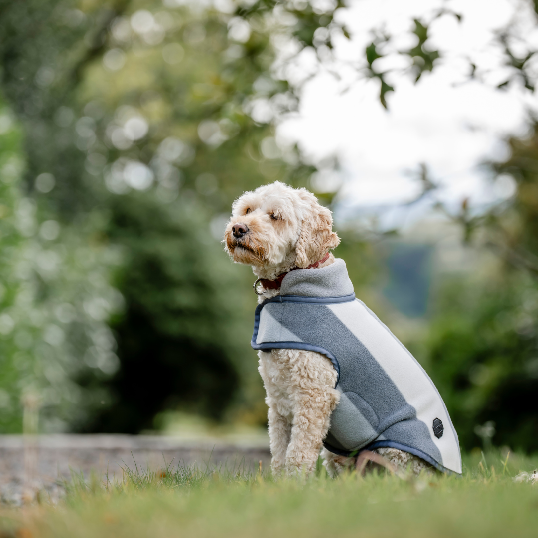 HORSEWARE NEWMARKET DOG FLEECE - 12