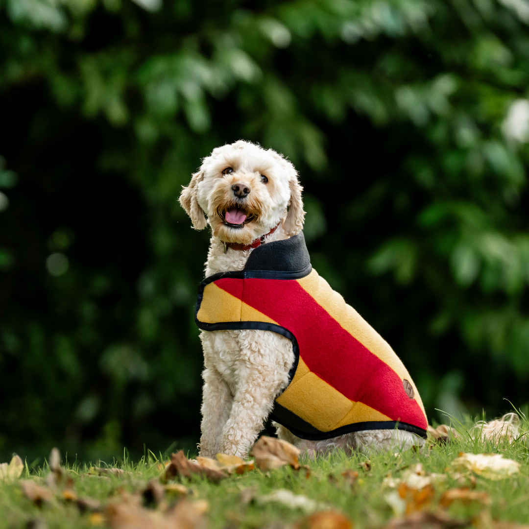 HORSEWARE NEWMARKET DOG FLEECE - 15