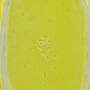Gunnar Nylund (1950s) Yellow Dish with Plant Relief 24 cm