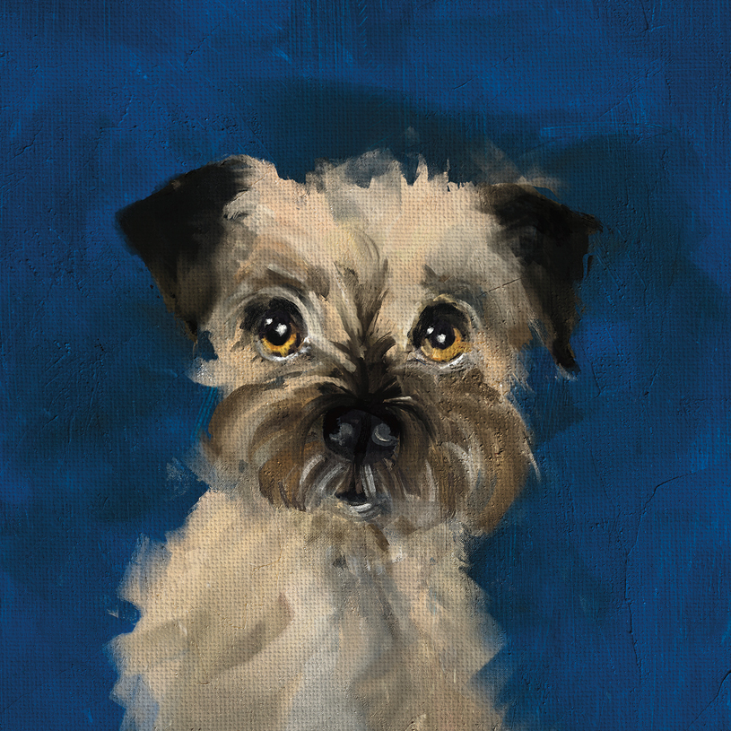 Bertie The Dog Card