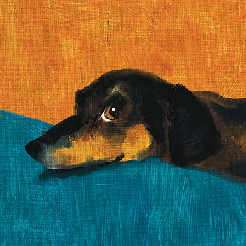 Fred The Dog Card