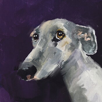 Walter The Dog Card