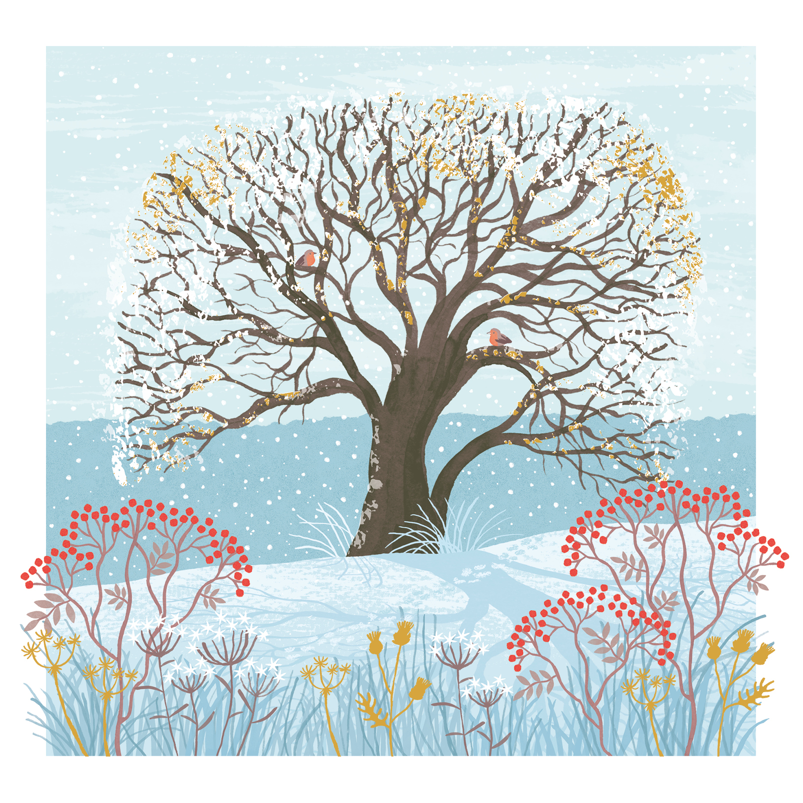 WINTER OAK OVER THE ISLES XMAS CARD