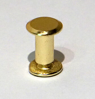 Chicagoskruv / skruvnit, 10 mm, guld