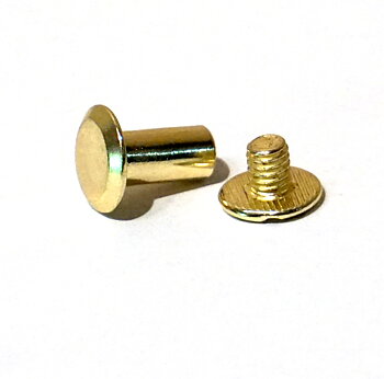 Chicagoskruv / skruvnit, 10 mm, guld