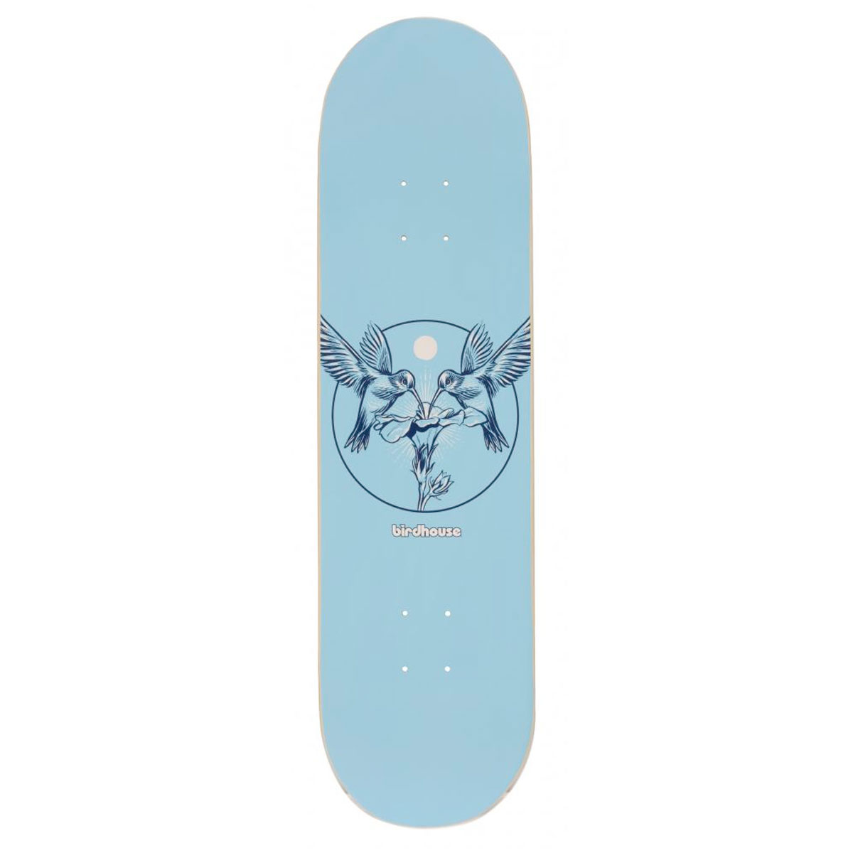 Birdhouse skateboard deck 8.25 Hummingbird