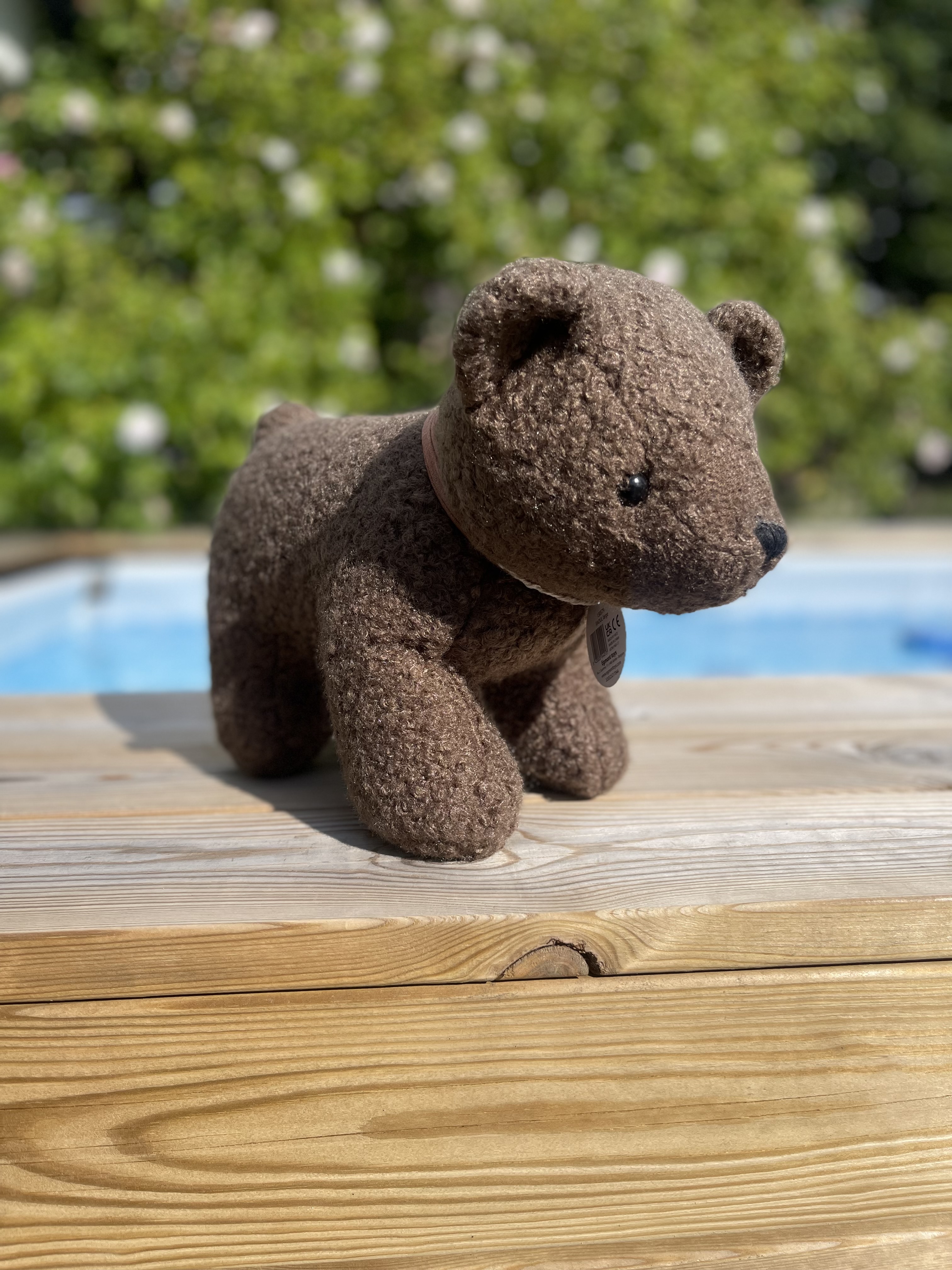 Nallebjörn Raoul - Egmont Toys - 4