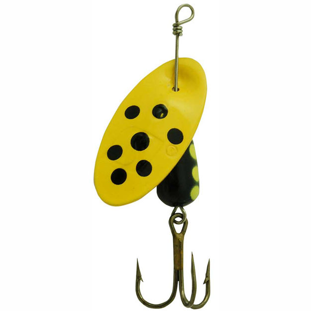 Spesial Spinner - 9