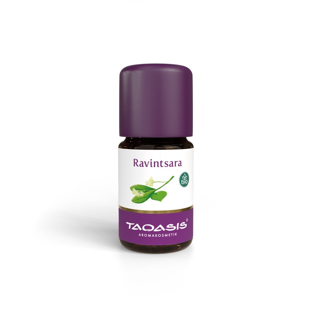 Ravintsara olja Ekologisk 5 ml