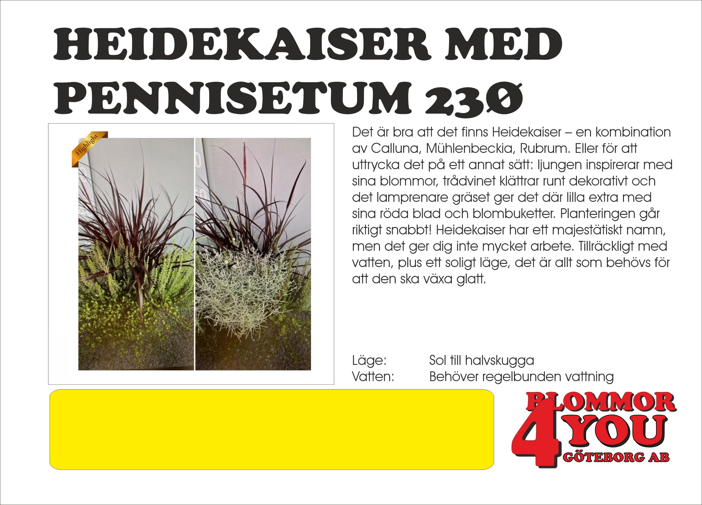 HEIDEKAISER MED  PENNISETUM 23Ø