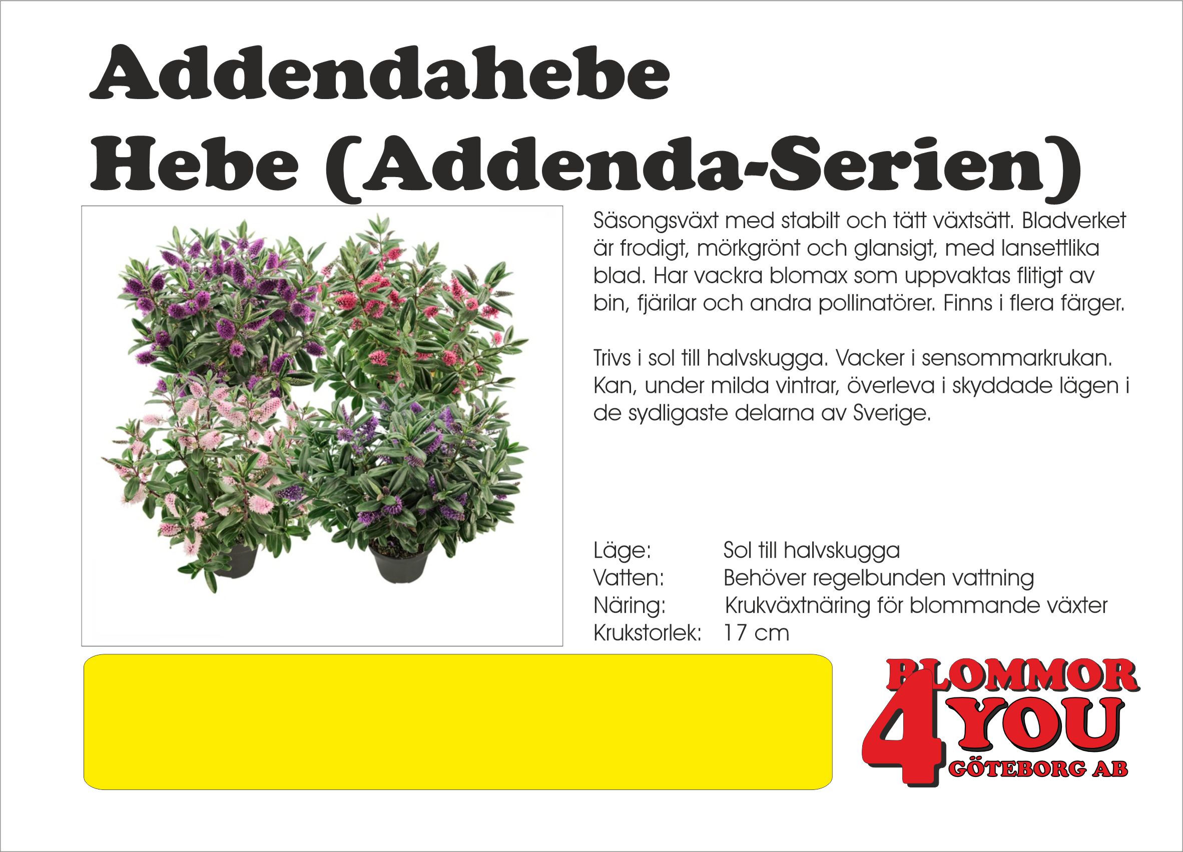 Addendahebe  Hebe (Addenda-Serien)  17Ø
