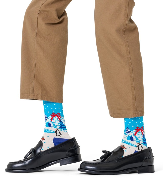 Happy Socks  Igloo Sock - 2