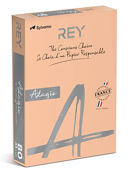 Färgat kopieringspapper Rey Adagio Salmon