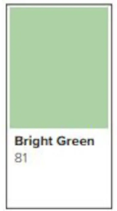Färgat kopieringspapper Rey Adagio Bright Green - 3