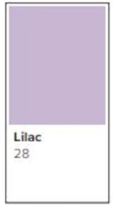 Färgat kopieringspapper Rey Adagio Lilac - 3