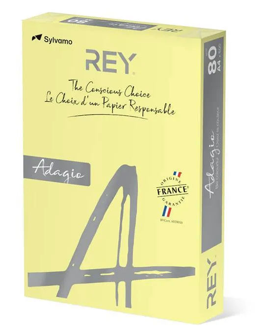 Färgat kopieringspapper Rey Adagio Canary - 2