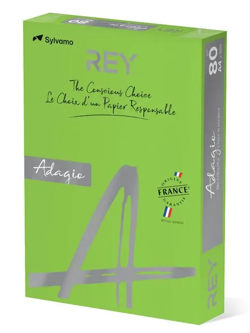Färgat kopieringspapper Rey Adagio Deep Green - 2
