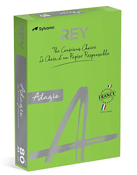Färgat kopieringspapper Rey Adagio Deep Green