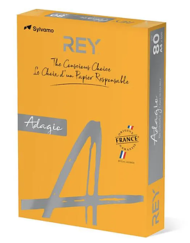 Färgat kopieringspapper Rey Adagio Pumpkin
