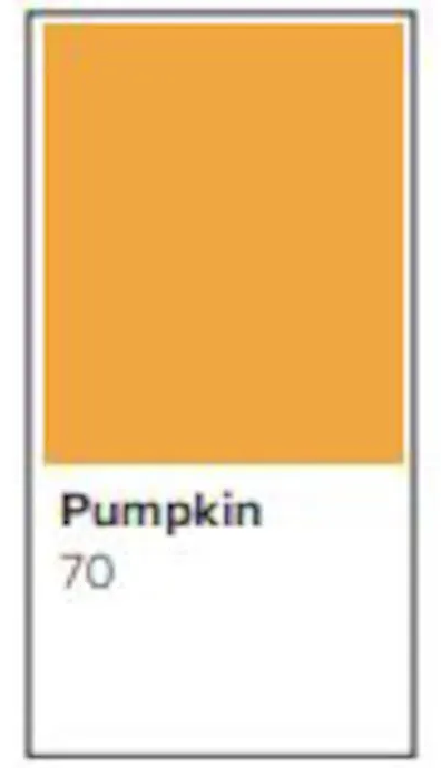 Färgat kopieringspapper Rey Adagio Pumpkin - 2
