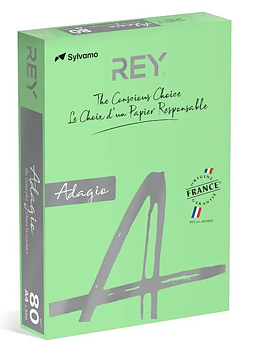 Färgat kopieringspapper Rey Adagio Leaf Green