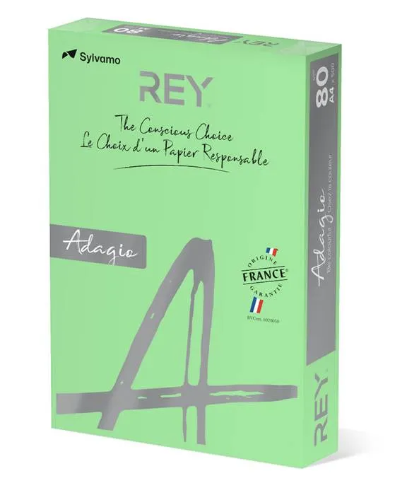 Färgat kopieringspapper Rey Adagio Leaf Green - 2