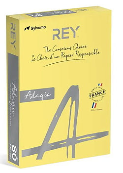 Färgat kopieringspapper Rey Adagio Citrus