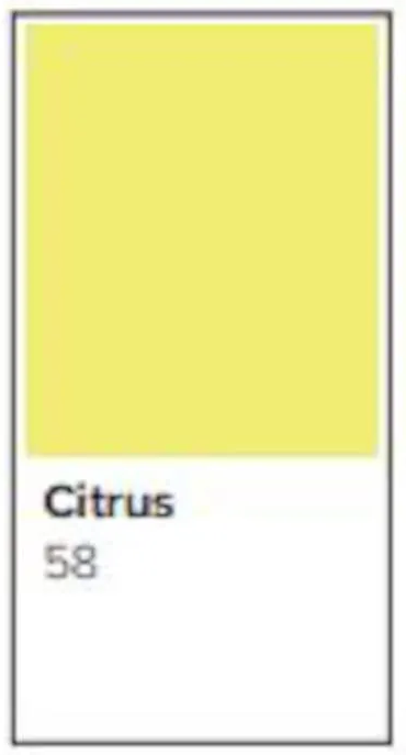 Färgat kopieringspapper Rey Adagio Citrus - 3