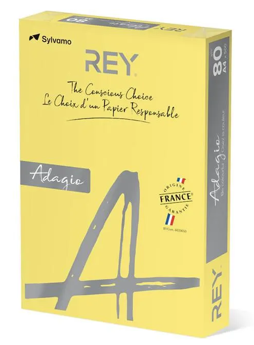 Färgat kopieringspapper Rey Adagio Citrus - 2