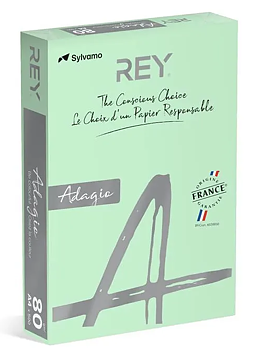 Färgat kopieringspapper Rey Adagio Green