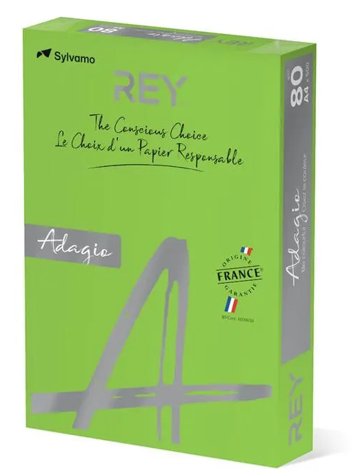 Färgat kopieringspapper Rey Adagio Deep Green - 2