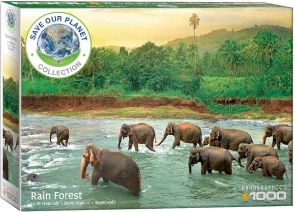 Rain Forest, 1000 Bitar Eurographics - 2